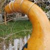 Large Bottle Gourd Birdhouse G-BH-1002 - Image 3