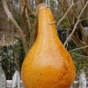 Large Bottle Gourd Birdhouse G-BH-1002 - Image 4