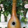 Large Bottle Gourd Birdhouse G-BH-1006 - Image 2