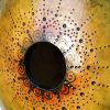 Large Bottle Gourd Birdhouse G-BH-1007 - Image 4